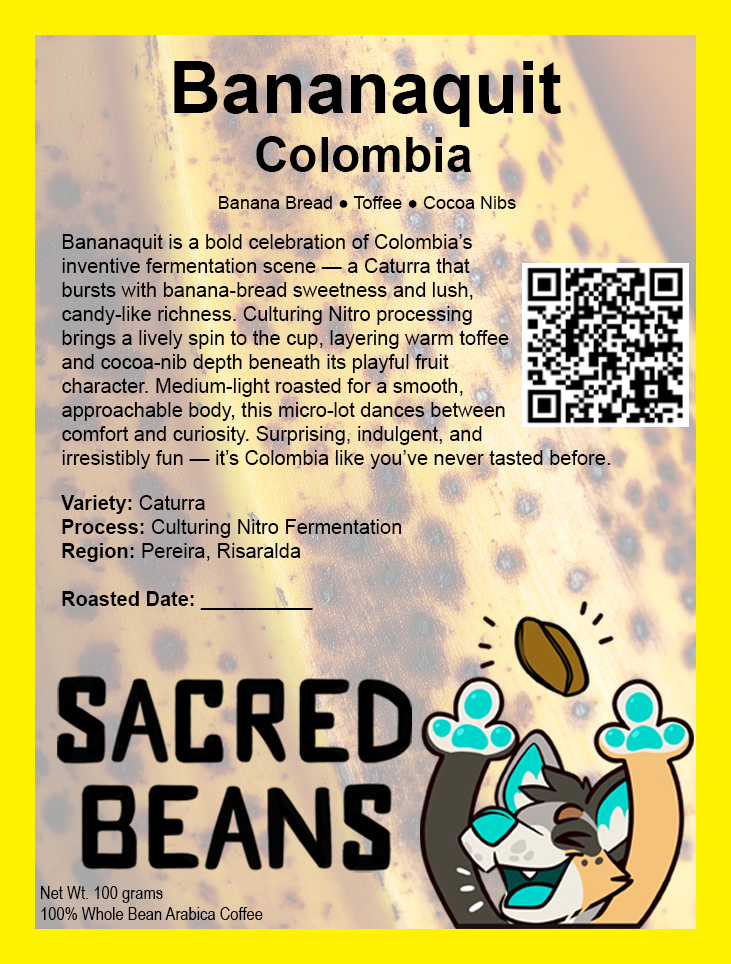 Bananaquit - Colombia